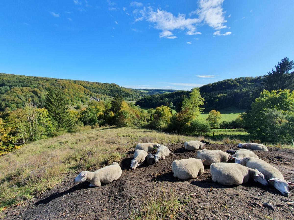 Quiet Business Flat Or Vacation Home In Bad Urach Kültér fotó